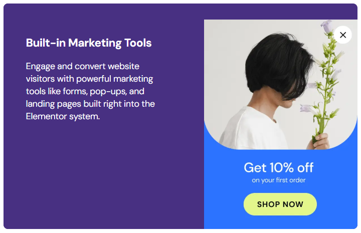 Built-in-marketing-tools