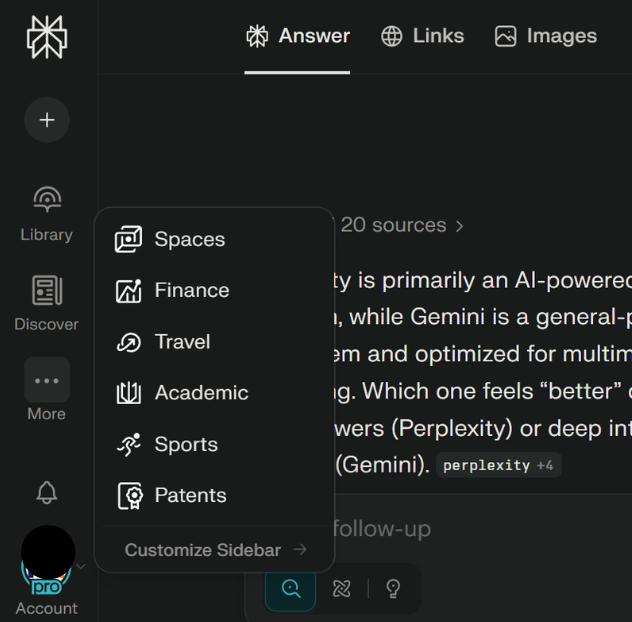 Perplexity Options chat features